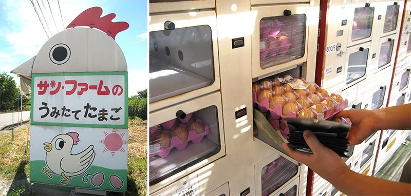 Зовнішній вигляд автомата зі свіжими курячими яйцями / В осередках - 20 яєць за 300 ієн