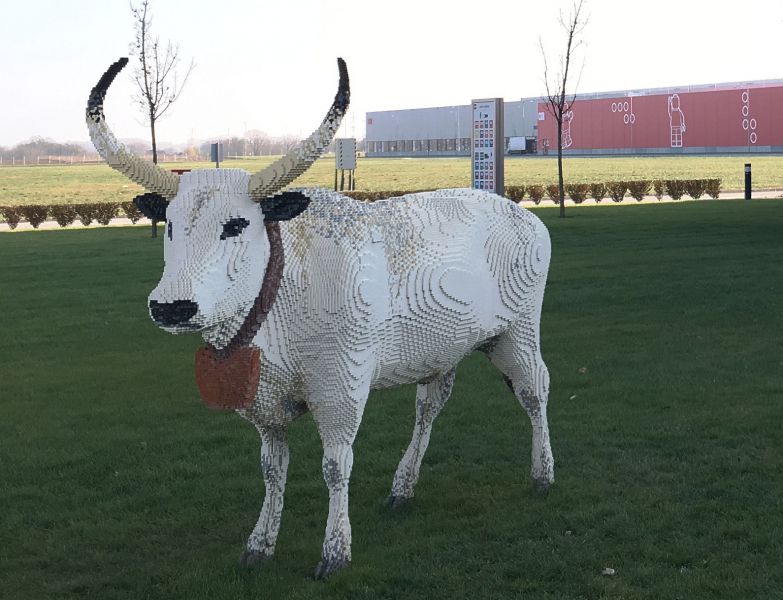 І, звичайно ж, угорська порода сірих корів, яких розводять і в Закарпатті
