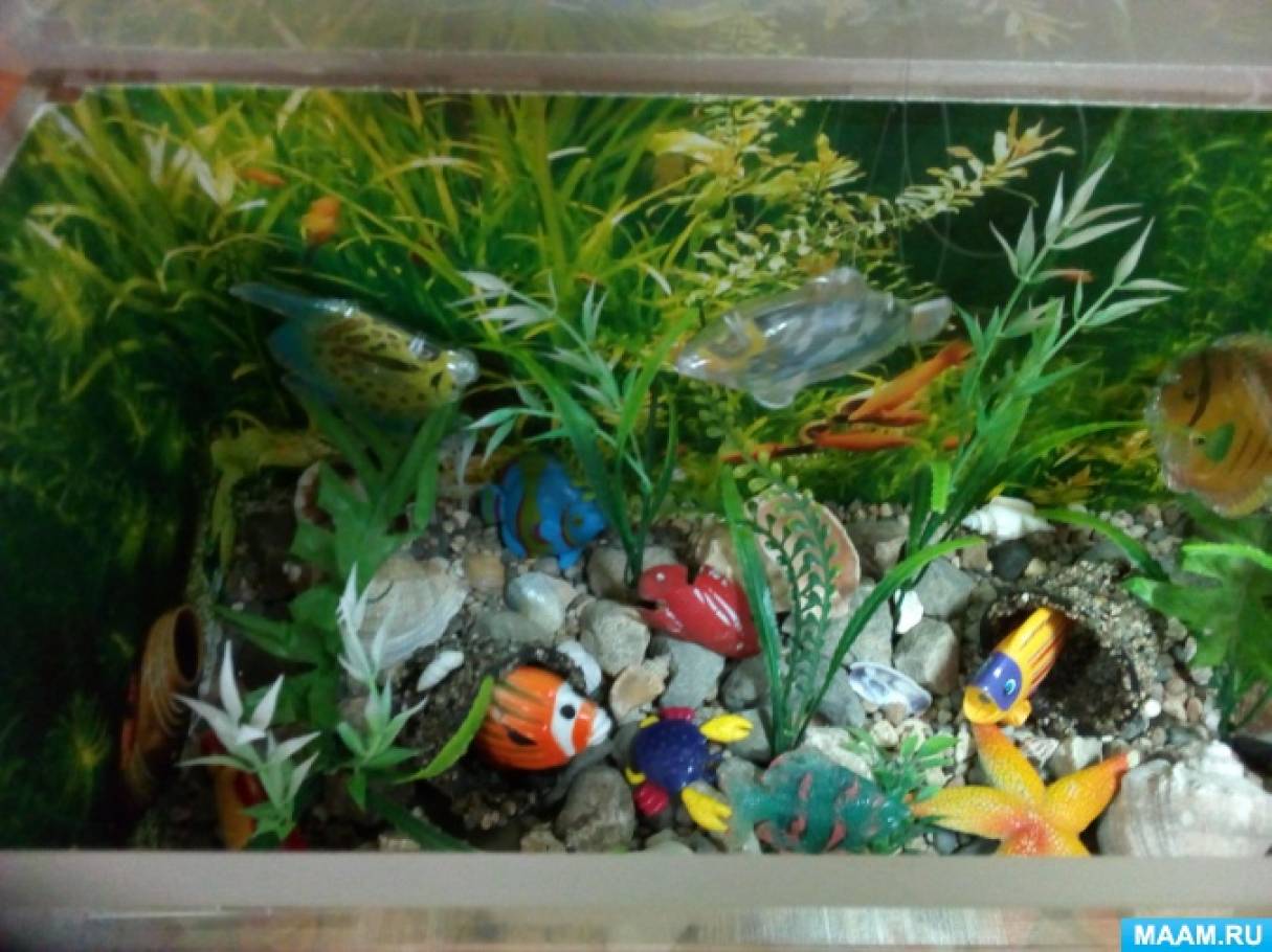 Макет «Сухий акваріум» в Професорському куточку природи в середній групі   У дитячих садках заборонено мати живих мешканців в природному куточку